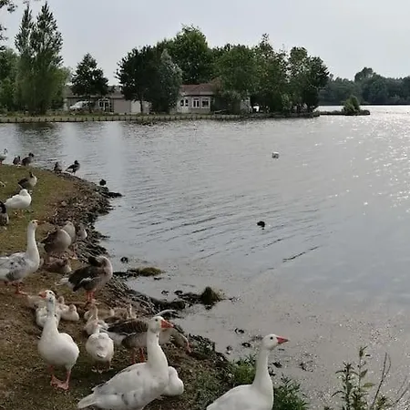 Fadil Apartment Valenciennes